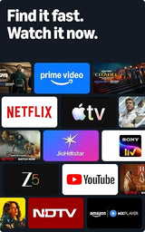 Amazon Fire TV Stick HD (newest model)