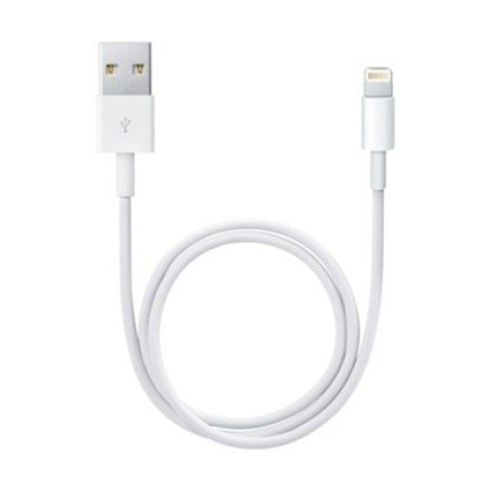 Apple Lightning To Usb Cable (0.5 M)