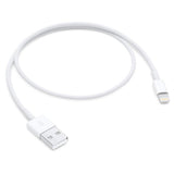 Apple Lightning To Usb Cable (0.5 M)