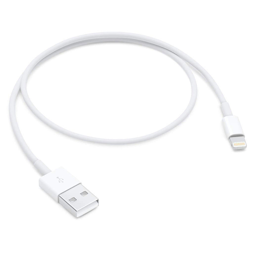 Apple Lightning To Usb Cable (0.5 M)