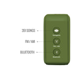 Saregama Carvaan Mini Hindi 2.0