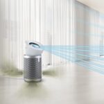 Dyson Air Purifier Big+Quiet |Covers 1100 Sq. Ft| Advanced HEPA H13 filtration|Removes 99.95% of allergens - Image 3