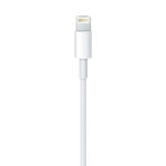 Apple Lightning To Usb Cable (2 M) - Image 3