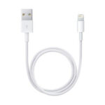 Apple Lightning To Usb Cable (0.5 M)