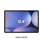 Samsung Tab S10 Plus 12/256GB Wi-Fi Tablet-Moonstone Gray