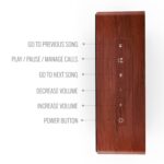 Saregama Carvaan Mini plus Portable Music Player with 1000 Preloaded Songs - Image 3