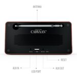 Saregama Carvaan Mini plus Portable Music Player with 1000 Preloaded Songs - Image 4